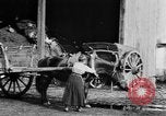 Image of French women tend farms in World War I France, 1917, second 16 stock footage video 65675042483