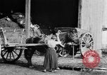 Image of French women tend farms in World War I France, 1917, second 17 stock footage video 65675042483