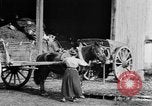 Image of French women tend farms in World War I France, 1917, second 18 stock footage video 65675042483