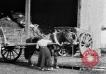 Image of French women tend farms in World War I France, 1917, second 19 stock footage video 65675042483