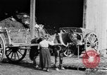 Image of French women tend farms in World War I France, 1917, second 20 stock footage video 65675042483