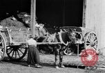 Image of French women tend farms in World War I France, 1917, second 21 stock footage video 65675042483
