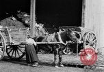 Image of French women tend farms in World War I France, 1917, second 22 stock footage video 65675042483