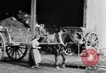 Image of French women tend farms in World War I France, 1917, second 23 stock footage video 65675042483