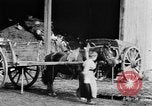 Image of French women tend farms in World War I France, 1917, second 24 stock footage video 65675042483