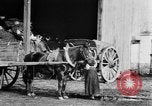 Image of French women tend farms in World War I France, 1917, second 26 stock footage video 65675042483