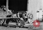 Image of French women tend farms in World War I France, 1917, second 27 stock footage video 65675042483