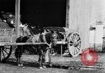 Image of French women tend farms in World War I France, 1917, second 28 stock footage video 65675042483