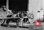 Image of French women tend farms in World War I France, 1917, second 29 stock footage video 65675042483