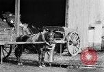 Image of French women tend farms in World War I France, 1917, second 30 stock footage video 65675042483