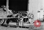 Image of French women tend farms in World War I France, 1917, second 31 stock footage video 65675042483