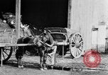 Image of French women tend farms in World War I France, 1917, second 32 stock footage video 65675042483
