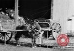 Image of French women tend farms in World War I France, 1917, second 33 stock footage video 65675042483