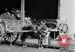 Image of French women tend farms in World War I France, 1917, second 34 stock footage video 65675042483