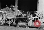 Image of French women tend farms in World War I France, 1917, second 35 stock footage video 65675042483