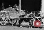 Image of French women tend farms in World War I France, 1917, second 36 stock footage video 65675042483