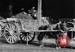 Image of French women tend farms in World War I France, 1917, second 37 stock footage video 65675042483