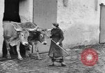 Image of French women tend farms in World War I France, 1917, second 38 stock footage video 65675042483