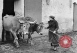Image of French women tend farms in World War I France, 1917, second 39 stock footage video 65675042483