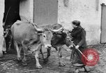 Image of French women tend farms in World War I France, 1917, second 40 stock footage video 65675042483