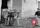 Image of French women tend farms in World War I France, 1917, second 47 stock footage video 65675042483