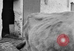Image of French women tend farms in World War I France, 1917, second 52 stock footage video 65675042483