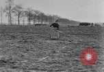 Image of French women tend farms in World War I France, 1917, second 55 stock footage video 65675042483
