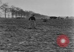 Image of French women tend farms in World War I France, 1917, second 56 stock footage video 65675042483