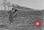 Image of French women tend farms in World War I France, 1917, second 61 stock footage video 65675042483