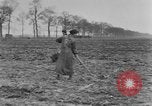 Image of French women tend farms in World War I France, 1917, second 62 stock footage video 65675042483