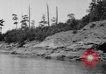 Image of Puget Sound coastline in early 1900s Tacoma Washington USA, 1917, second 20 stock footage video 65675042499