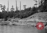 Image of Puget Sound coastline in early 1900s Tacoma Washington USA, 1917, second 23 stock footage video 65675042499