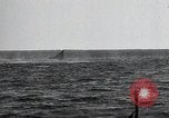 Image of United States Curtiss P-40 planes Long Island New York United States USA, 1940, second 24 stock footage video 65675042518