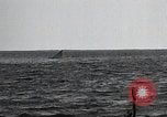 Image of United States Curtiss P-40 planes Long Island New York United States USA, 1940, second 26 stock footage video 65675042518