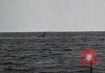 Image of United States Curtiss P-40 planes Long Island New York United States USA, 1940, second 35 stock footage video 65675042518
