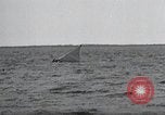 Image of United States Curtiss P-40 planes Long Island New York United States USA, 1940, second 38 stock footage video 65675042518