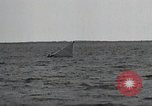 Image of United States Curtiss P-40 planes Long Island New York United States USA, 1940, second 39 stock footage video 65675042518
