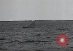 Image of United States Curtiss P-40 planes Long Island New York United States USA, 1940, second 40 stock footage video 65675042518
