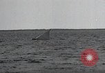 Image of United States Curtiss P-40 planes Long Island New York United States USA, 1940, second 41 stock footage video 65675042518