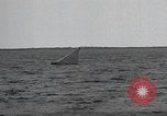 Image of United States Curtiss P-40 planes Long Island New York United States USA, 1940, second 42 stock footage video 65675042518