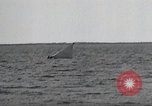 Image of United States Curtiss P-40 planes Long Island New York United States USA, 1940, second 44 stock footage video 65675042518