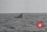 Image of United States Curtiss P-40 planes Long Island New York United States USA, 1940, second 45 stock footage video 65675042518