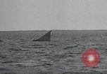 Image of United States Curtiss P-40 planes Long Island New York United States USA, 1940, second 46 stock footage video 65675042518