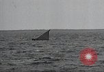 Image of United States Curtiss P-40 planes Long Island New York United States USA, 1940, second 47 stock footage video 65675042518