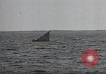 Image of United States Curtiss P-40 planes Long Island New York United States USA, 1940, second 48 stock footage video 65675042518
