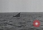 Image of United States Curtiss P-40 planes Long Island New York United States USA, 1940, second 49 stock footage video 65675042518