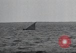 Image of United States Curtiss P-40 planes Long Island New York United States USA, 1940, second 50 stock footage video 65675042518