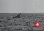 Image of United States Curtiss P-40 planes Long Island New York United States USA, 1940, second 51 stock footage video 65675042518