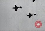 Image of United States Curtiss P-40 planes Long Island New York United States USA, 1940, second 41 stock footage video 65675042519