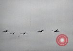 Image of United States Curtiss P-40 planes Long Island New York United States USA, 1940, second 44 stock footage video 65675042519